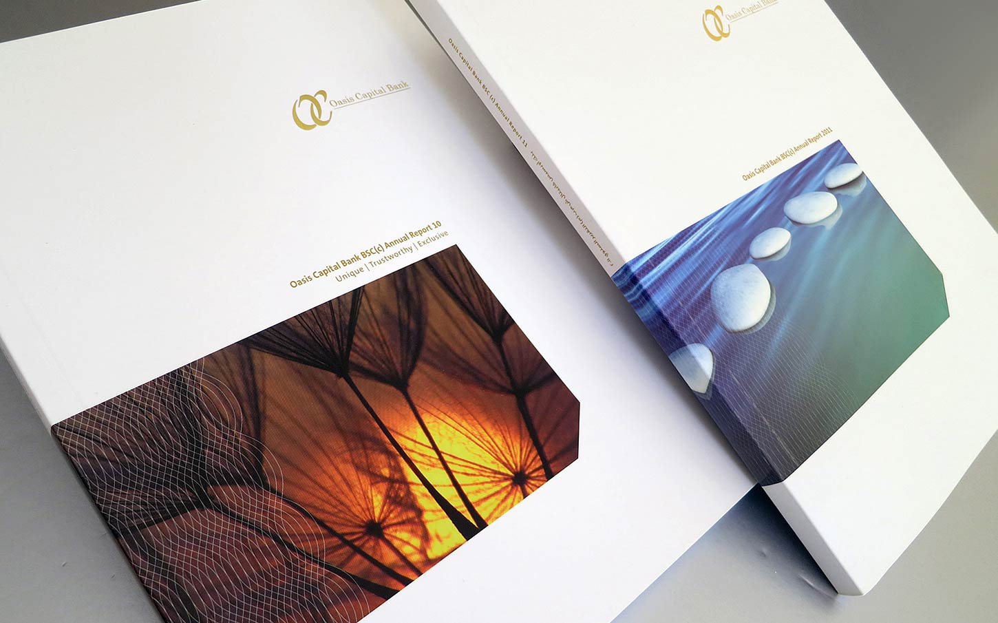 Oasis - Annual Reports 1