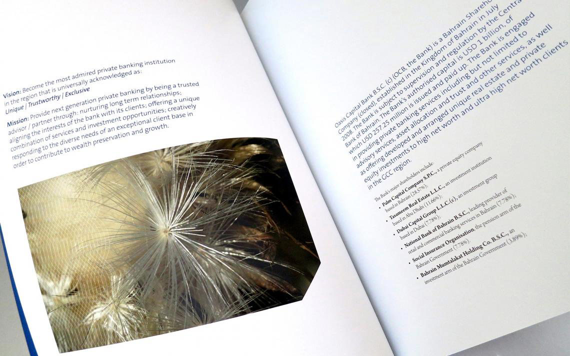 Oasis - Annual Reports 3